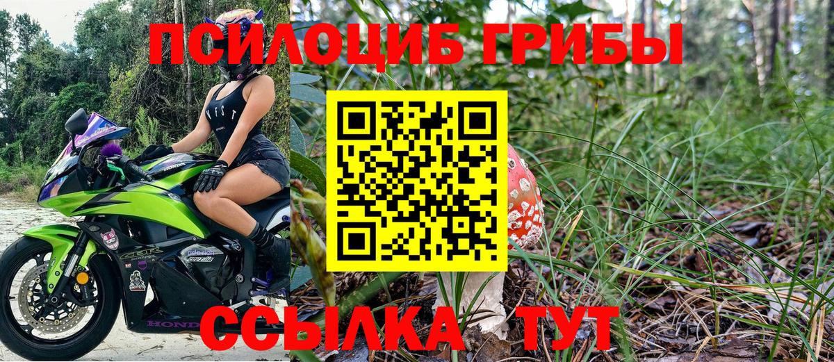 Галлюциногенные грибы GOLDEN TEACHER  Вход с VPN  Асбест 