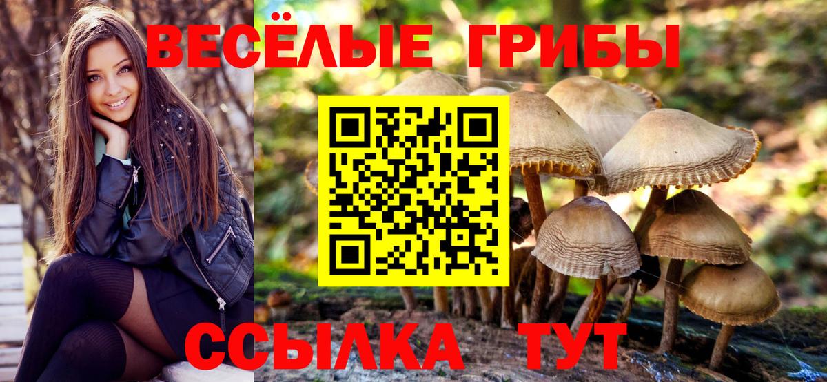 Псилоцибиновые грибы Magic Shrooms Асбест